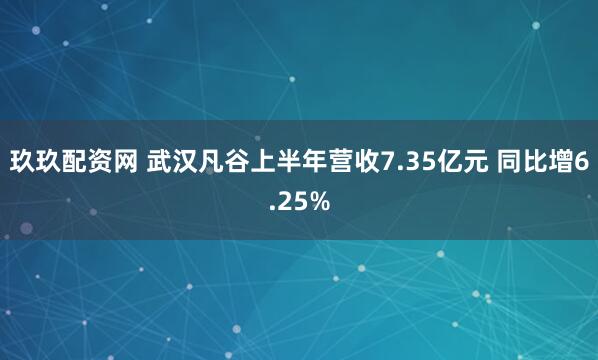 玖玖配资网 武汉凡谷上半年营收7.35亿元 同比增6.25%