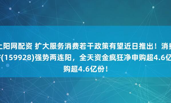 上阳网配资 扩大服务消费若干政策有望近日推出！消费ETF(159928)强势两连阳，全天资金疯狂净申购超4.6亿份！