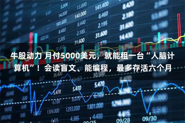 牛股动力 月付5000美元，就能租一台“人脑计算机”！会读盲文、能编程，最多存活六个月