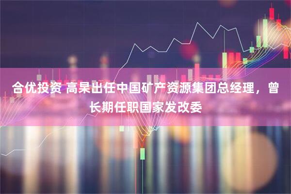 合优投资 高杲出任中国矿产资源集团总经理，曾长期任职国家发改委