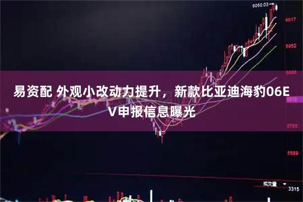 易资配 外观小改动力提升，新款比亚迪海豹06EV申报信息曝光