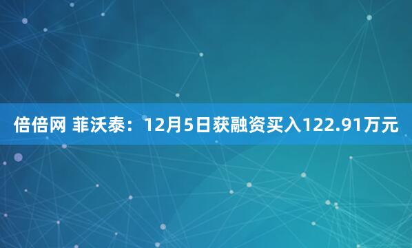 倍倍网 菲沃泰：12月5日获融资买入122.91万元