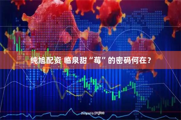 纯旭配资 临泉甜“莓”的密码何在？