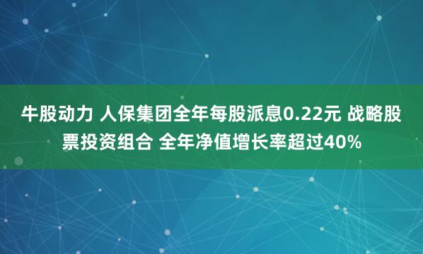 牛股动力 人保集团全年每股派息0.22元 战略股票投资组合 全年净值增长率超过40%