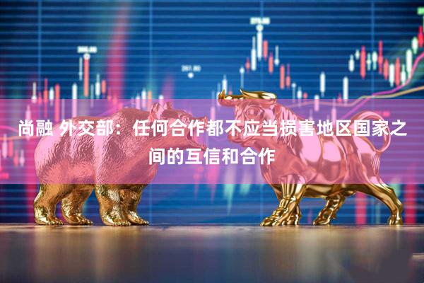 尚融 外交部：任何合作都不应当损害地区国家之间的互信和合作
